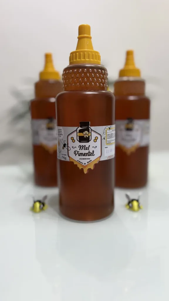 Mel Florada Eucalipto Bisnaga 1kg Apiário Mel Pimentel