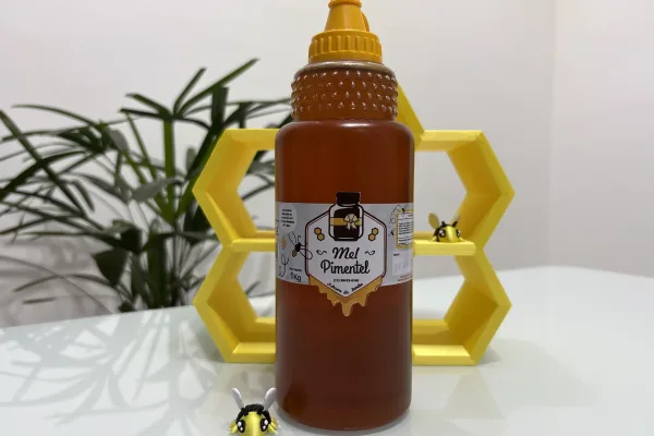 Mel Florada Eucalipto Bisnaga 1kg Apiário Mel Pimentel