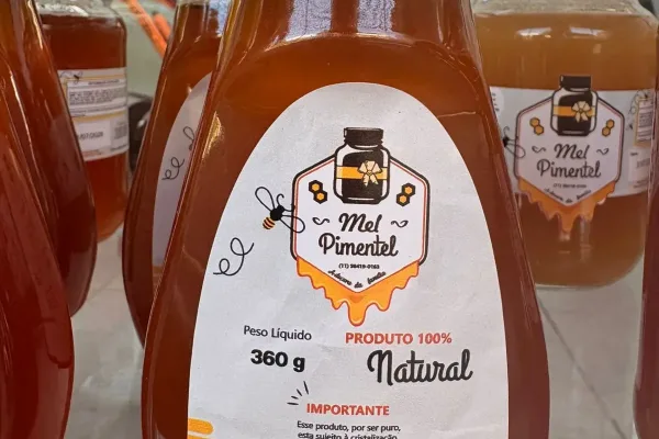 mel-florada-laranjeiras-bisnaga-360g