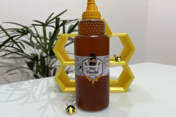 mel-florada-silvestre-bisnaga-1kg (2)