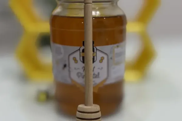 Pegador de Mel de madeira Apiário Mel Pimentel